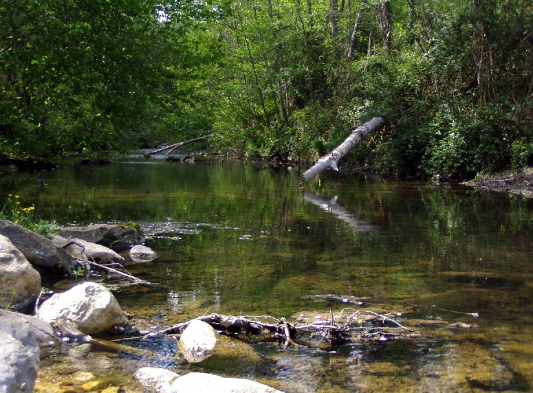 Valle del Farma e Stagno della Troscia: luoghi meravigliosi!